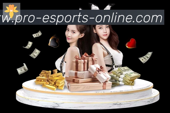 未来规划